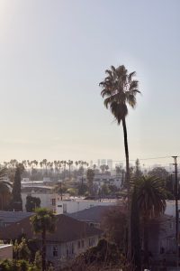 Los Angeles home electrical inspection - Consult Phase Electric.